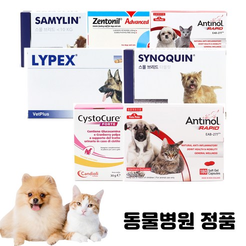 베츠페츠 베토퀴놀 벳플러스 버박 넬라펫 강아지 고양이 영양제 신장 관절 오메가3 유산균 칼슘 레날 안티놀래피드, 벳플러스 칼멕스 캣, 1개