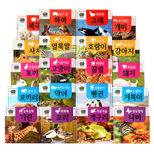꼬마지팡이 자연동화 전20권, 그린키즈