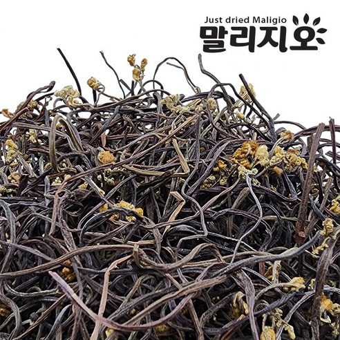 말리지오 고사리 보통 상급, 5개, 1kg(보통)
