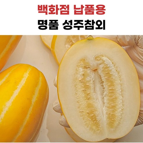 성주참외 당도보장, 정품꿀참외, 1개, 5kg