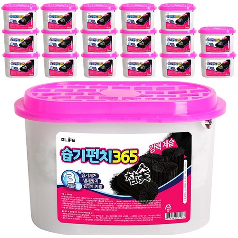 지라이프 습기펀치365 참숯 제습제 본품, 250g, 12개입