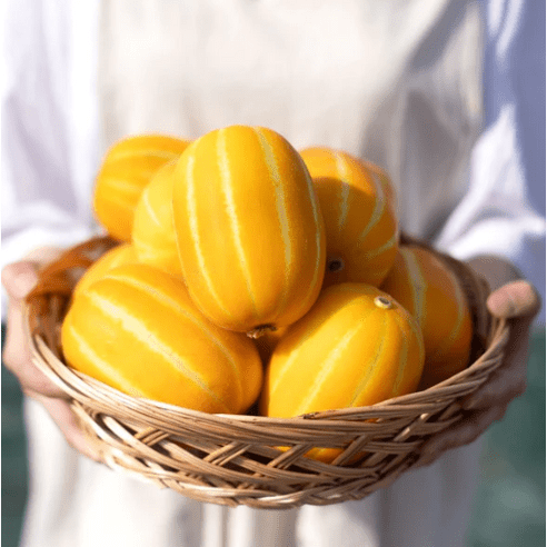 땅땅이 산지직송 고당도 꿀 성주참외 혼합과, 가정용 대과 5kg, 1박스