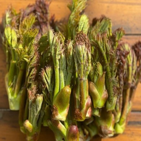 강원도참두릅 1kg, 중/하품, 1개