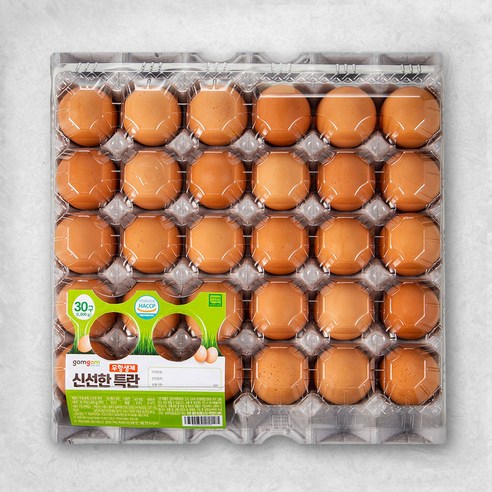 곰곰 무항생제 신선한 특란, 15구, 1개
