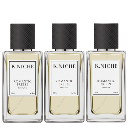 케이니치 로멘틱브리즈 여자 향수 오드퍼퓸, 100ml, 3개