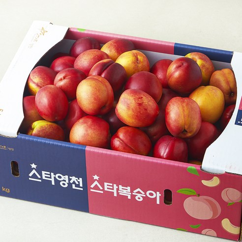 당찬 천도 복숭아, 5kg, 1개