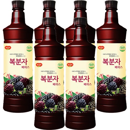 광야식품 복분자 베이스 970ml, 6개
