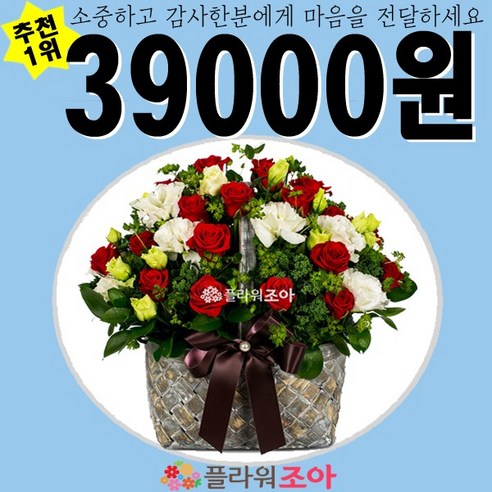 플라워조아 꽃바구니 꽃다발 생화꽃 당일배송 축하선물 전국꽃배달기념일이벤트, 수줍은마음