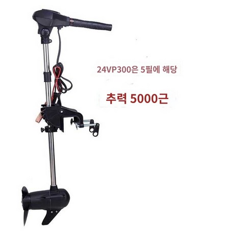 보트 모터 전기 프로펠러 선외기 하스윙, 그릴이 없는 24v 브러시리스 P300, 24v 브러시리스 P300 메쉬리스