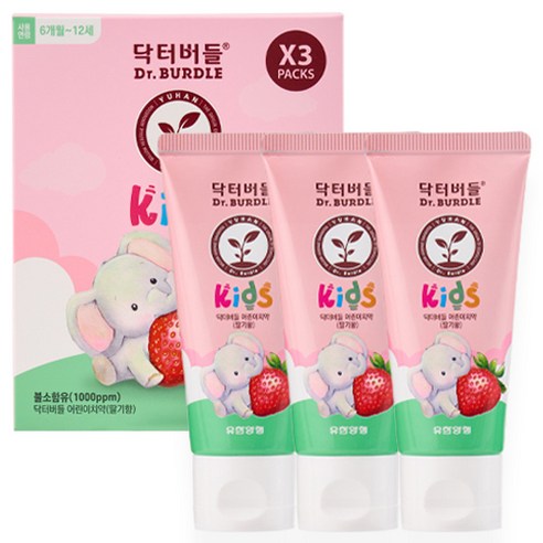 닥터버들 어린이 치약 딸기향, 60ml, 9개