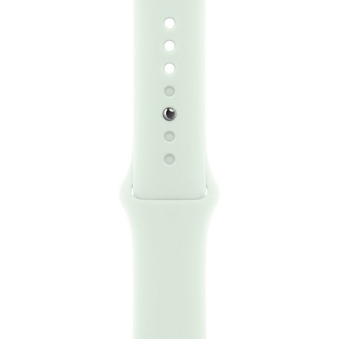 Apple 정품 애플워치 스포츠 밴드, 38 / 40 / 41mm, S,M, 라이트블루