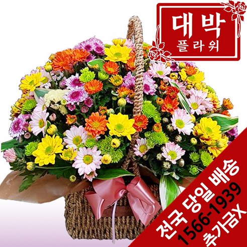 대박플라워 소국혼합 꽃바구니 생일선물 기념일 출산꽃선물 병문안 꽃배달