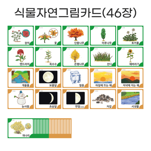 아이다보아 사물그림카드 낱말카드 한글카드 유아 첫카드, 과일채소세트(40장)