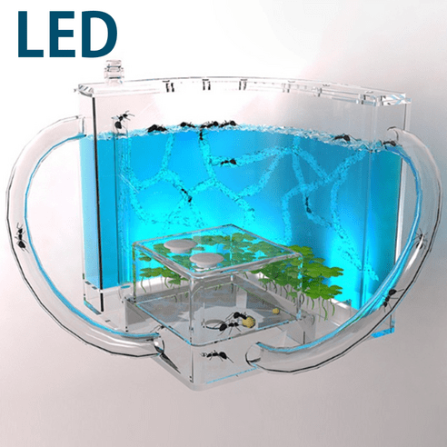개미키우기 LED 개미집 하우스 사육장 곤충 관찰 키트, 개미집관찰-led형