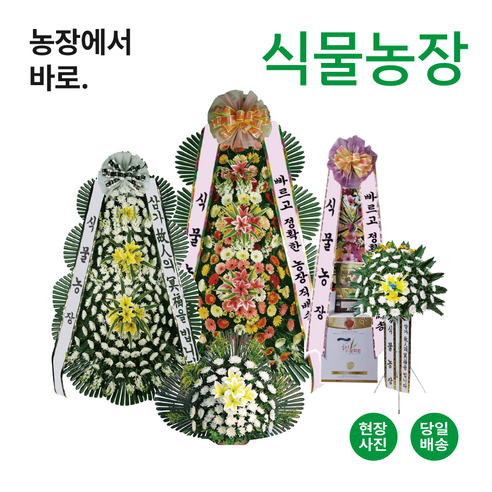 [식물농장] 근조화환 축하화환 전국 당일배송 화환 결혼 결혼식 장례 장례식 개업 개업식, 08)영정바구니(특), 배송비 3만원 추가