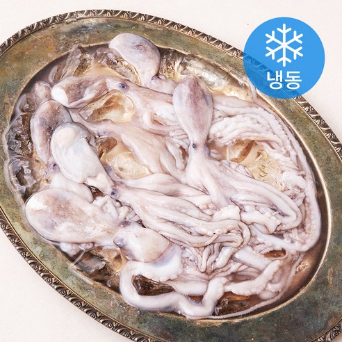 비비수산 살아있을때 얼린 신선한 낙지 (냉동), 1개, 850g(6미)