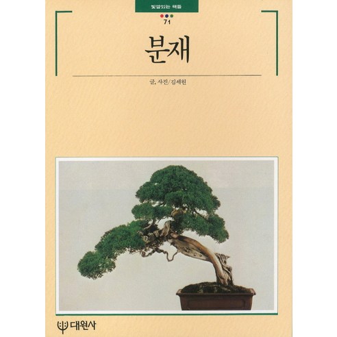 분재, 대원사, 김세원