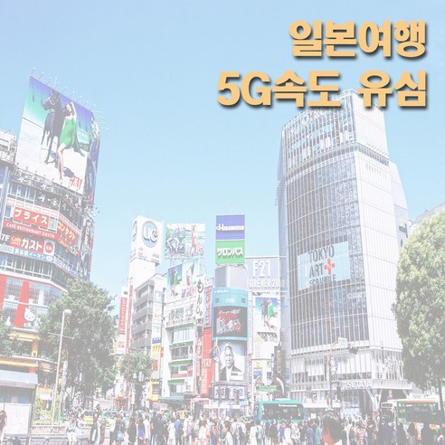 플라잉비 일본 소뱅 5G지원 유심 데이터전용 일일요금제, 매일 5G 2기가, 6일