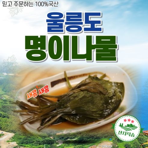 울릉도 국내산100% 자연산 명이나물 삼겹살찰떡궁합 400g 1kg 15KG 산지직배송, 순한맛, 1개