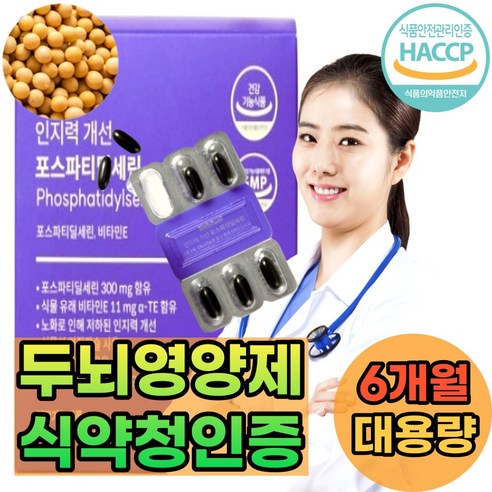 건식미남 포스파티딜세린 식약청인증 분말 징코 치매 두뇌 기억력개선 은행잎추출물x1, 6개, 60캡슐