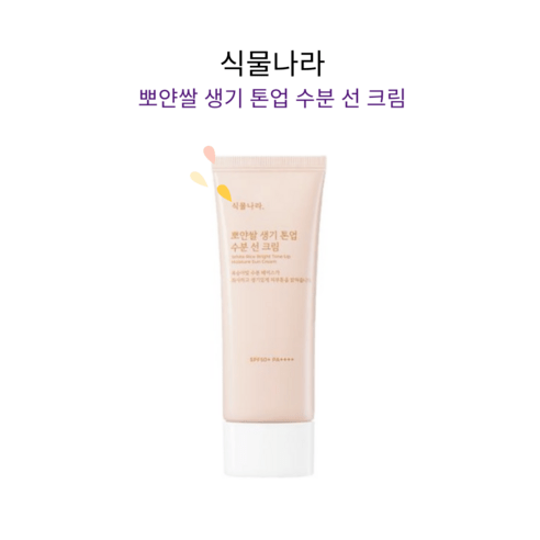 리뉴얼 식물나라 뽀얀쌀 생기 톤업 수분 선 크림 100mL 산뜻한 톤업 썬크림, 2개