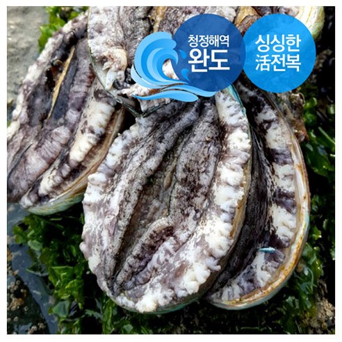 [[동원수산]] 바다내음듬뿍 싱싱 (완도 활전복 7-8미1kg) 산소포장 당일발송, 1개, 1kg
