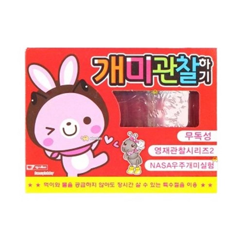 (소/핑크) 애완개미집 관찰통 개미사육장 관찰학습 개미기르기
