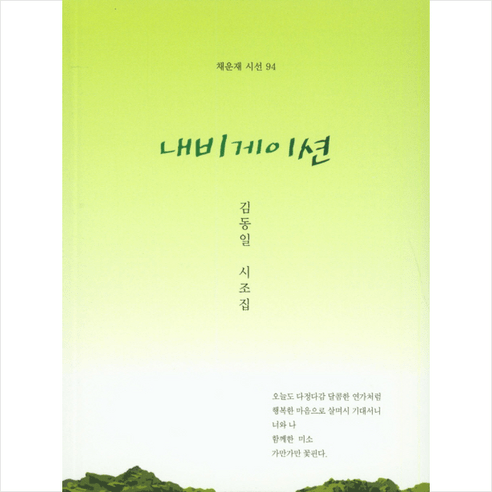 내비게이션