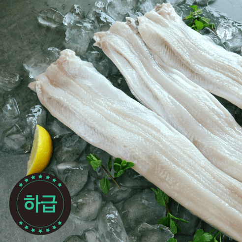 [청아씨푸드] 국내 자연산 손질바다장어 하급 1kg, 무두/사이즈-대/실중량1kg/4-6미, 1개