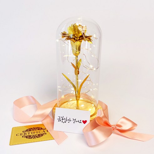 골드 금 카네이션 어버이날 선물 꽃 무드등 부모님선물 금카네이션 엄마선물 추천, 혼합색상