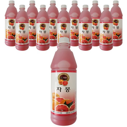 청솔 자몽 음료베이스, 835ml × 1개, 835ml, 1개