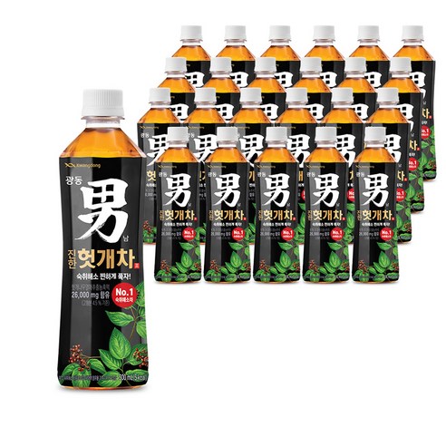 광동 힘찬하루 헛개차, 1.25L, 48개