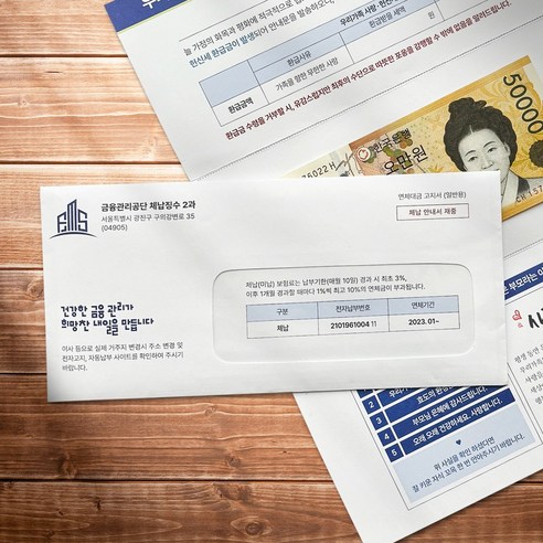 용돈 박스 봉투 어버이날 현금 세금 체납 고지서, 고지서 용돈봉투, 1개