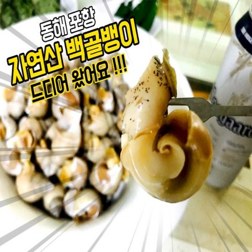 백고동 1키로 자숙 소(35미내외) 중(20미내외) 소라 캠핑 안주 간식 간편하게, 1kg, 20개