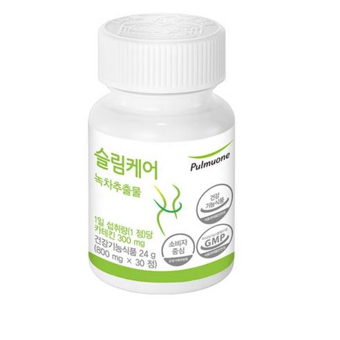 풀무원 슬림케어 녹차추출물, 1개, 24g