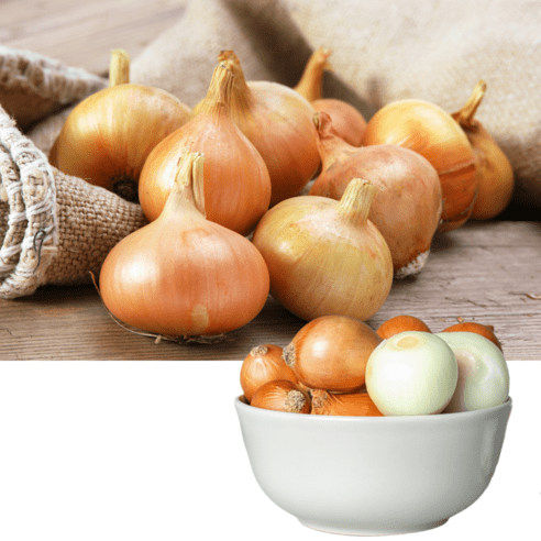 [기린]국내산 햇양파 당일발송 재구매율100%, 대-3kg(적당한크기)요리용, 1개