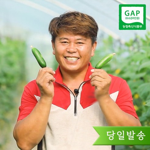 수분 가득 미니오이 피클 오이지 스낵 제철 간식용 1kg 2kg 3kg 5kg, 1박스, 클로렐라 미니오이 2kg
