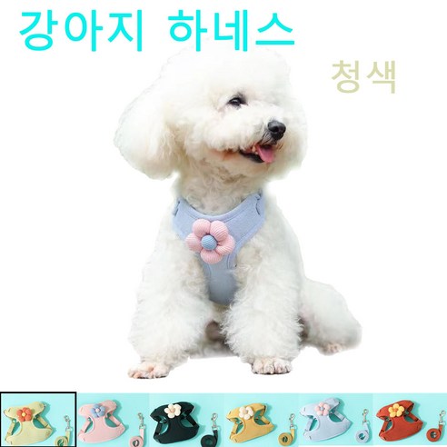 강아지 고양이 산책줄 강아지 플라워 가슴줄 목줄 하네스 리드줄 세트 충격완화 하네스 핏밴드, 블루, 강아지 하네스