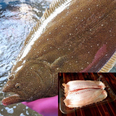 회킬러 숙성회 광어 필렛 순살 1kg, 1개