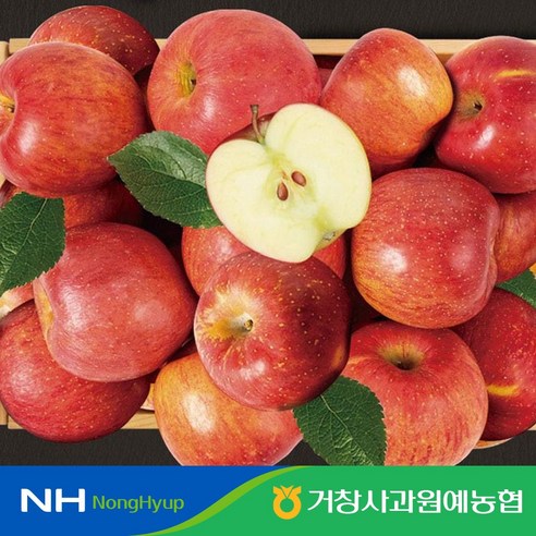 [거창사과원예농협] 가정용 햇 홍로사과 5kg 중과 14-20과, 1개