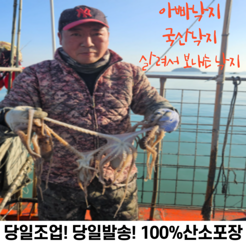 아빠낙지 세발낙지 낙지 목포낙지 뻘낙지 산낙지 낚지 [당일조업/당일발송], 중낙지130g내외, 10개