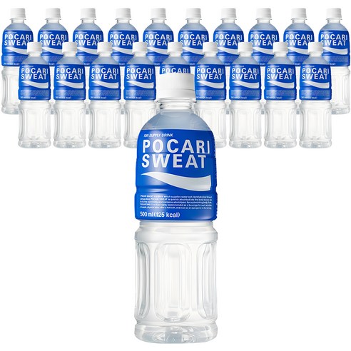 동아오츠카 포카리스웨트, 500ml, 10개