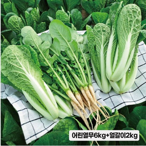 포천 싱싱 어린 열무 얼갈이 채소한의 식탁, 어린열무6kg+얼갈이2kg, 1개