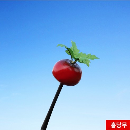 자동차 안테나볼 BMW 미니 쿠퍼 R60 R55R56 F56 루프 장식 피규어, 03 홍당무（안테나 없음）