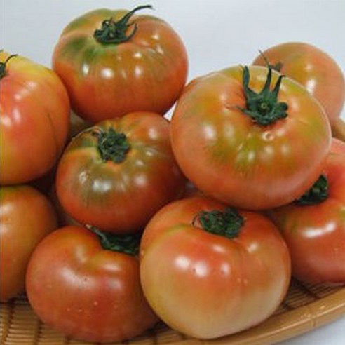 행복한 농부 정품 찰토마토 3kg(1~5번과), 3kg(중과), 1개