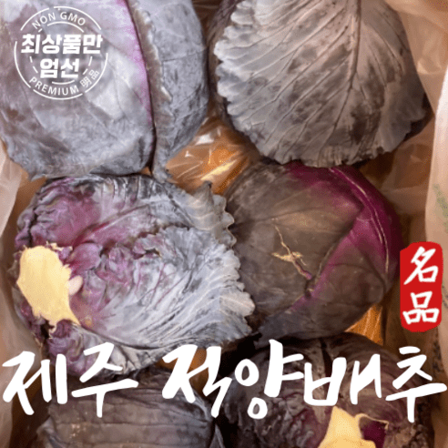 국산 제주직송 적채 적양배추 5kg 10kg, 제주적양배추 5kg, 1개