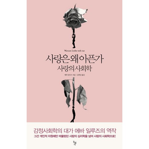 사랑은 왜 아픈가:사랑의 사회학, 돌베개, 에바 일루즈 저/김희상 역