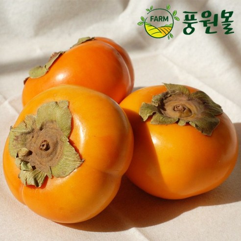 풍원영농조합 단감, 정품 31~35과 / 5KG, 1박스