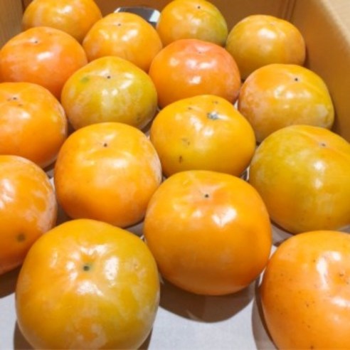 기찬드림 단감 진영단감 부유 태추단감 1kg 2kg 3kg 4kg 5kg, 태추단감2kg(대과8-11), 1박스