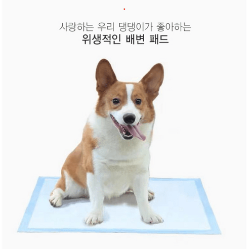 [반려견 배변 패드]대용량 강아지 반려견 배변 패드/ S(100매) / M(50매) / L(40매) / XL(20매), 20개, 1개